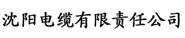 日韩A无V码在线播放电缆厂logo